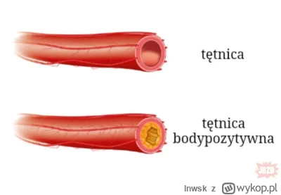 lnwsk - #humorobrazkowy #heheszki #bekazgrubasow