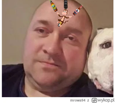 mrowa94 - Jak myślicie statywo-redahtur już "zrenderowany" dzisiaj ?
#kononowicz #pat...