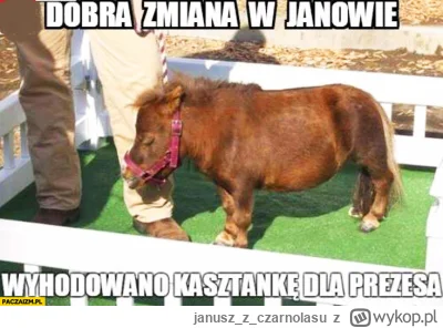 januszzczarnolasu - @NoJakNieJakTak: Jak to...