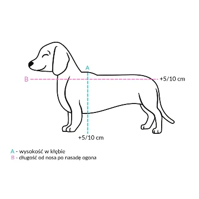 poison101 - > Zgodnie z propozycją KO pies o wysokości w kłębie poniżej 50 cm miałby ...