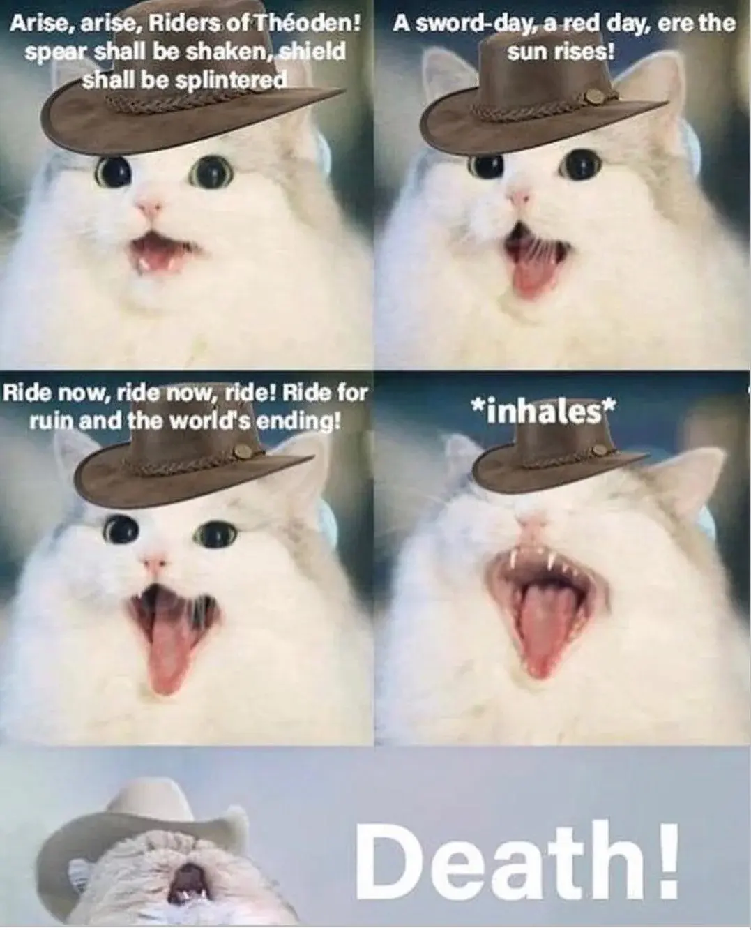 wfyokyga - Nie mam coś weny dzisie na dodawanie