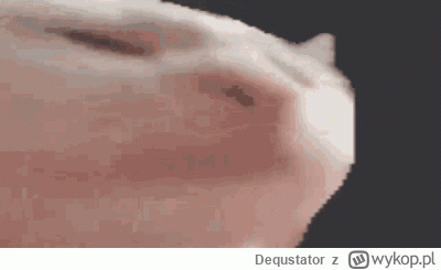 Dequstator - @PROponujek: jedziemy!