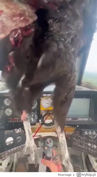 Kearnage - #trzecieoko