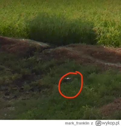 mark_franklin - @bardzospokojnyczlowiek nic ( ͡° ʖ̯ ͡°)