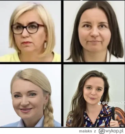 malaks - Zezpół Tuska do spraw "butowy lektrowni atomowych" i rozwoju AI.