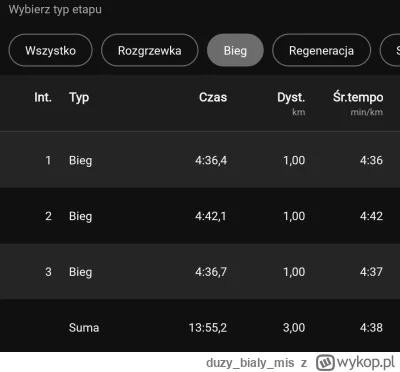 duzybialymis - @duzybialymis tu międzyczasy