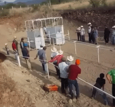 wfyokyga - Poszedł bym se na takie wyścigi grubasów