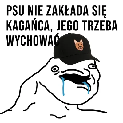 Katarinka00 - #psiarze #psy