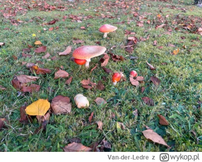 Van-der-Ledre - @Van-der-Ledre: