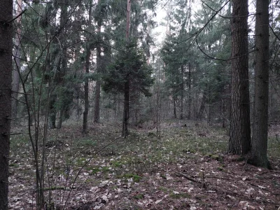 ToJestNiepojete - Na niedzielnym spierdotripie w środku lasu, ładując akumulatory na ...