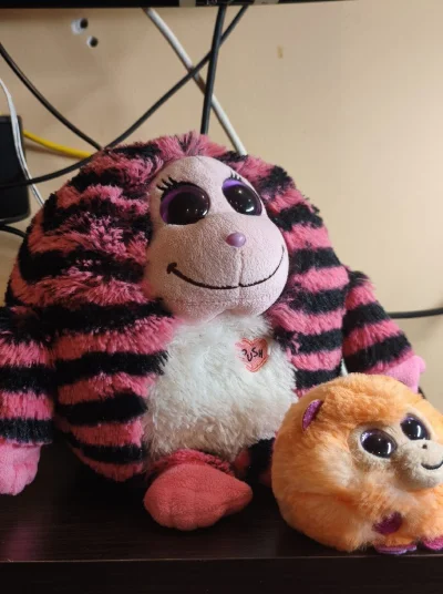 vieniasn - zrobiłem cable management (zasłoniłem ile się dało maskotkami) i w sumie r...