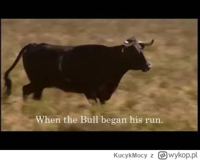 KucykMocy - #kryptowaluty #bitcoin

When the bull begin his run