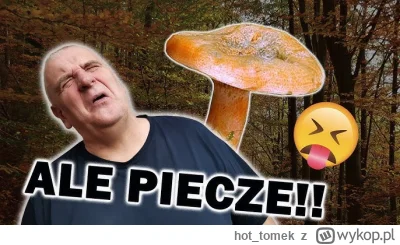 hottomek - @szyderczyszczur: 
ale was piecze ( ͡° ͜ʖ ͡°) Nic nie zachęca bardziej do ...