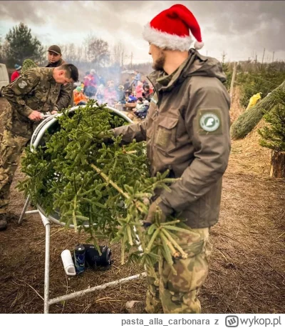 pastaallacarbonara - Jak planujecie w tym roku kupić choinkę, to zamiast przepłacać i...
