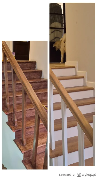 Lowca90 - @Lowca90 proszę nie zwracać uwagi na mistrza 2 planu ( ͡° ͜ʖ ͡°)