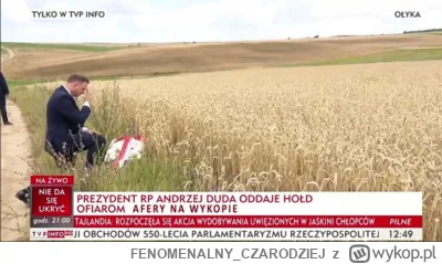 FENOMENALNY_CZARODZIEJ - #heheszki #ukraina #aferazbozowa #polska #ankieta #propagand...