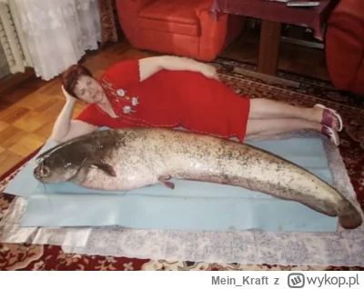 Mein_Kraft - [RARE] Zdjęcie Piotra z Edytą jak se leżą

#kononowicz #patostreamy