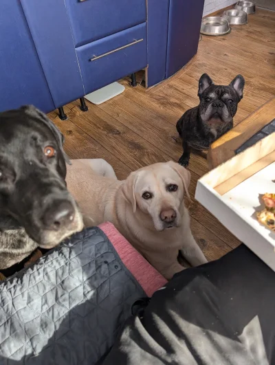 b.....o - @bibi__: czy ktoś powiedział "śniadanie"?