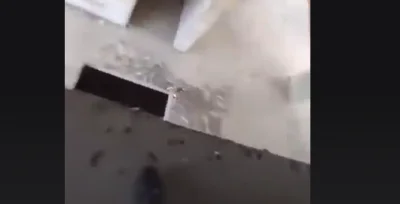 KarbowanaPapryka - @Krole: Chyba zwłoki bo tam na dole jeszcze jedna dziura