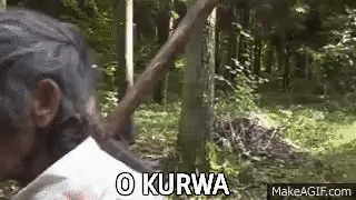 Dwudziestydrugi - @pyszniarz: