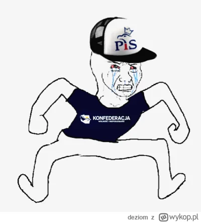 deziom - To uczucie gdy wyborcy partii spamującej o ORWELLU, od lat żyją w alternatyw...