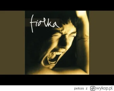 pekas - #muzyka #polskamuzyka #pop #00s #synth


Fiolka - Nie ma nic