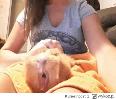 KurierInpost - #smiesznypiesek