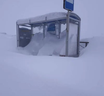 bialy100k - >Czy sporo śniegu dostaje się na samochód bokiem ?

@solid959: Na bank ni...