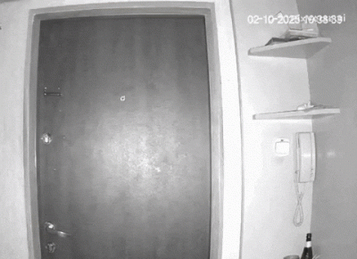 BykPokutny - #danielmagical ( ͡° ͜ʖ ͡°)