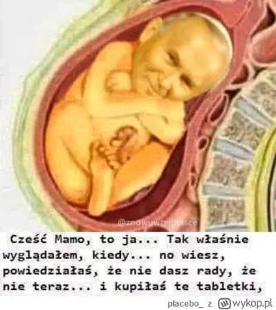 placebo_ - #2137 #wykopobrazapapieza