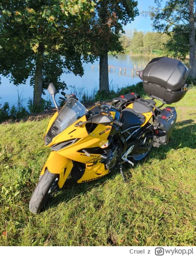 Cruel - Całkiem przyjemne te szmaciane kufry. Najlepsze że stelaż odpina się razem z ...