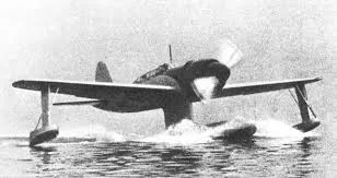 Corvus_Frugilagus - Kawanishi E15K Shiun, Norm

#corvusfrugilaguscontent2