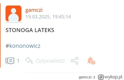 gamczi - nostradamus

#kononowicz #patostreamy