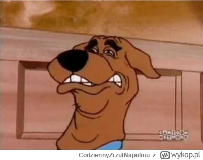 CodziennyZrzutNapalmu