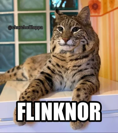 frugASS - @notakjakbytotalnie_: