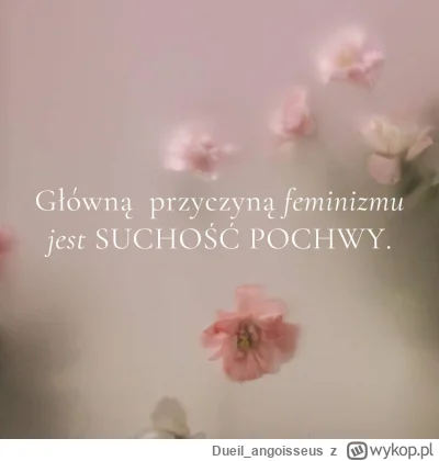 Dueil_angoisseus - #heheszki #logikarozowychpaskow #rozowepaski #feminizm