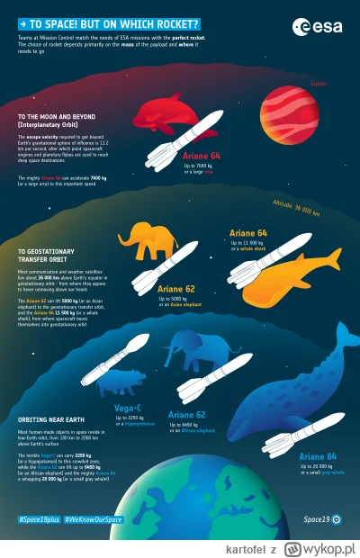 kartofel - #infografika #rakiety