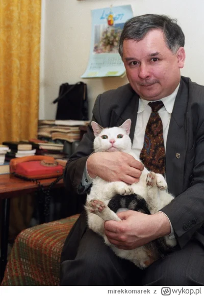 mirekkomarek - @ntdc: a tu moja ( ͡° ͜ʖ ͡°)