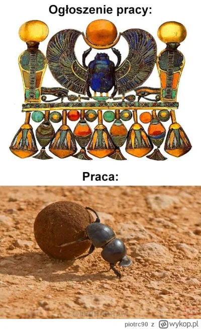 piotrc90 - #heheszki #humorobrazkowy