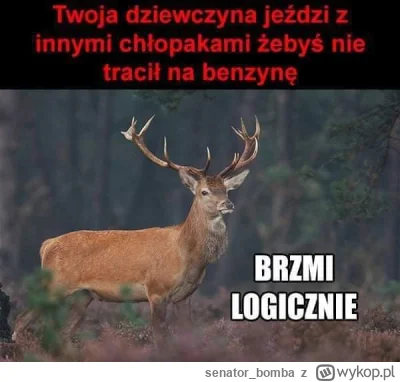 senator_bomba - #logikarozowychpaskow