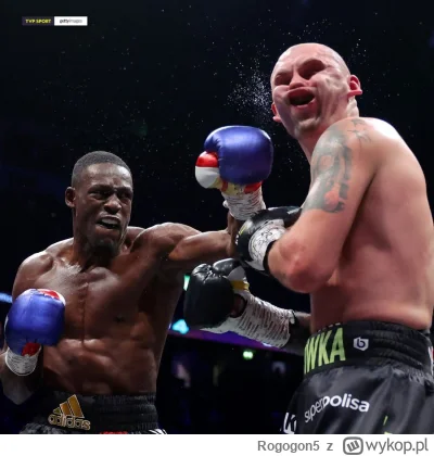 Rogogon5 - #boks #heheszki Zgadniecie po twarzy co to za bokser?