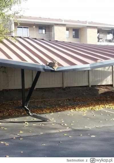 fastmotion - @fastmotion: