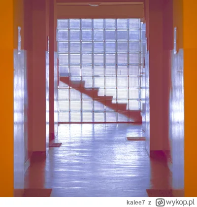 kalee7 - luksfery są w pyte (⌐ ͡■ ͜ʖ ͡■)
 #fotografia #tworczoscwlasna #katowice