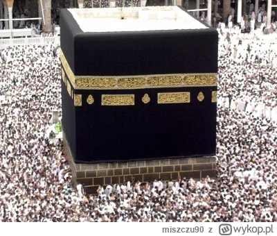 miszczu90 - @niezbadane-krainy: wygląda jak islamski Hadżar