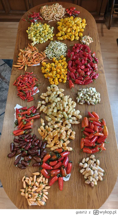 gobi12 - Pamiętacie ten stół? ( ͡° ͜ʖ ͡°)

Nie jest tak obficie zapełniony jak w popr...