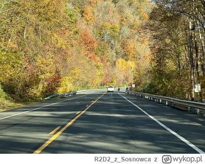 R2D2zSosnowca - @R2D2zSosnowca elo