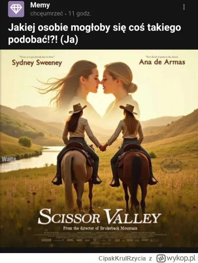 CipakKrulRzycia - #film #heheszki #brokebackmountain 
Dlatego tak mocno kibicuje rozw...