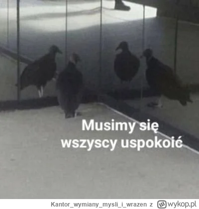 Kantorwymianymysliiwrazen - @KRCZVSK: Ewentualnie ta nie moja wersja.¯\(ツ)/¯