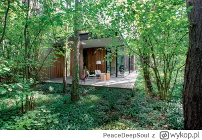 PeaceDeepSoul - dom w lesie