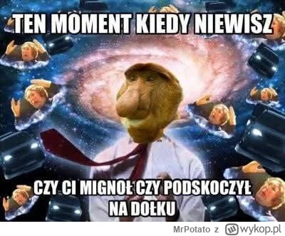 MrPotato - #konkursnanajbardziejgownianymemznosaczem